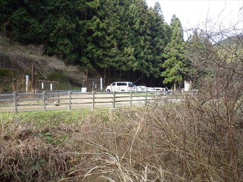 RIMG2262_R