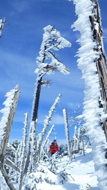 RIMG8549_R