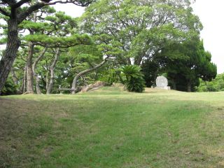IMG_0485_320