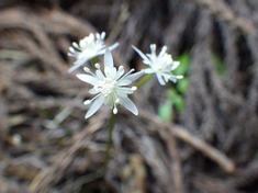 RIMG8795_R