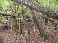 RIMG6467_R