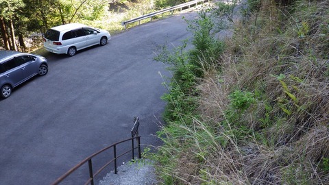 RIMG9661_R