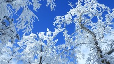 RIMG8394_R