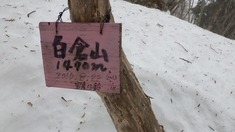 RIMG8320_R