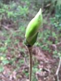 IMG_1024_R