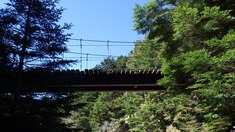 RIMG9734_R
