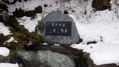 RIMG8344_R