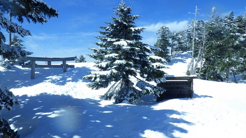 RIMG8522_R