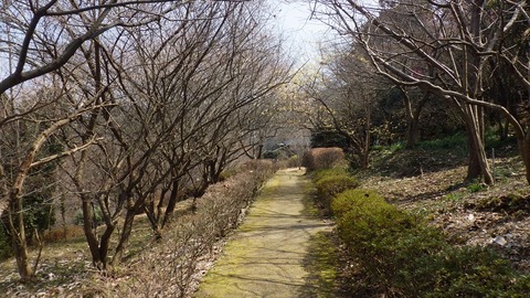 RIMG8821_R