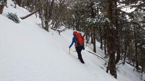 RIMG8477_R