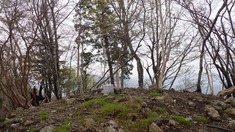 RIMG9503_R
