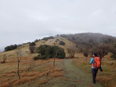RIMG9027_R