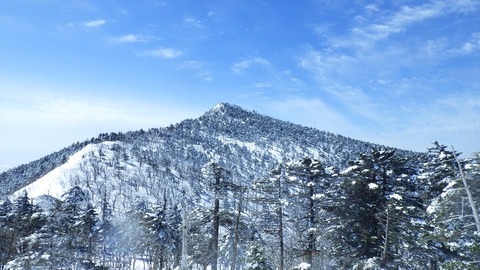 RIMG8526_R