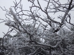RIMG7234_R