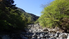 RIMG9705_R