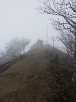 RIMG9064_R