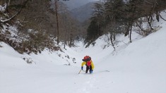 RIMG8595_R