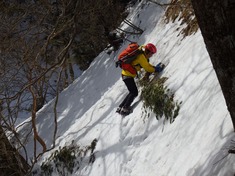 RIMG8755_R