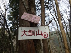 RIMG9297_R