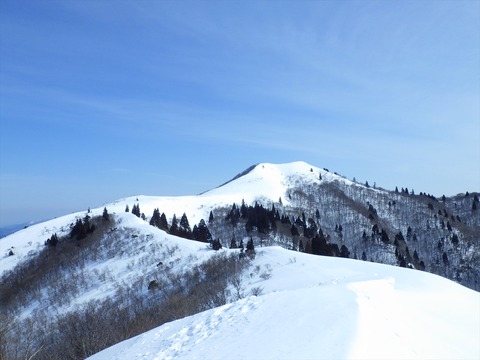 RIMG8869_R