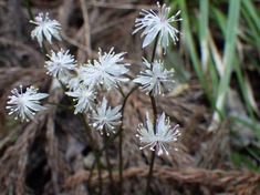 RIMG8798_R