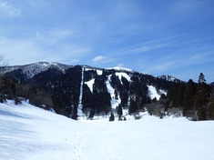 RIMG8919_R