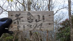 RIMG9517_R