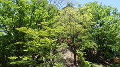 RIMG9637_R