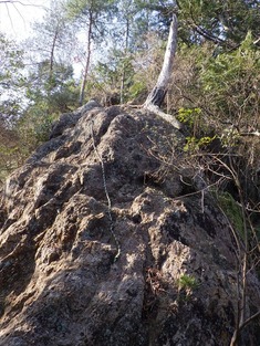 RIMG8779_R