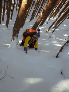 RIMG8932_R