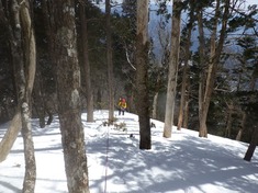 RIMG8759_R