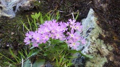 RIMG9718_R