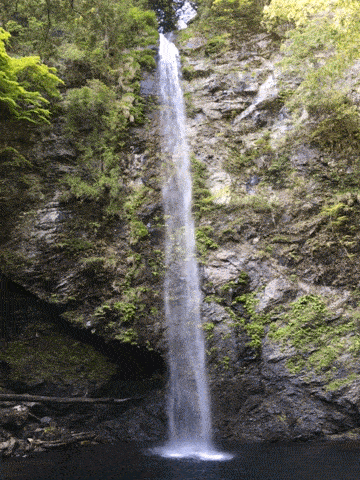 明神滝1