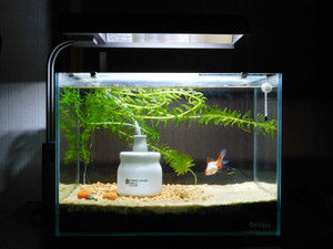 ADA ソーラーミニ M ADA AQUA DESIGN AMANO SOLAR MINI M BLACK LIGHT FIXTURE