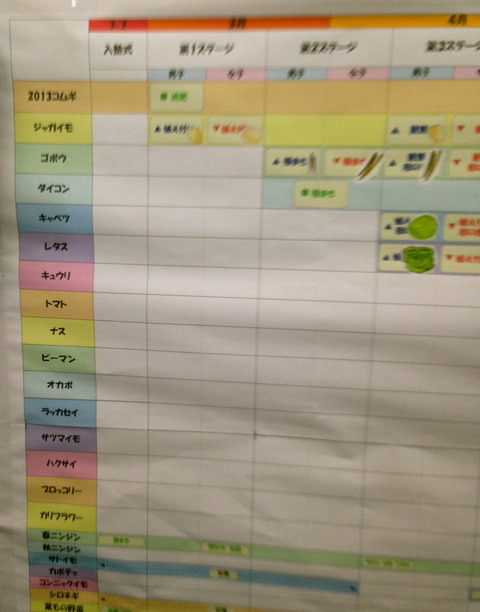 収穫予定