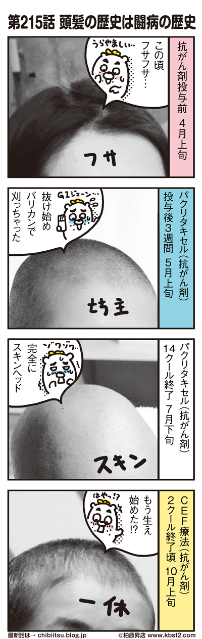 170620_shin-chibiitu_215(5koma)1
