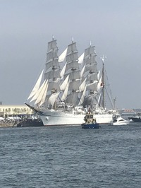 IMG_1207