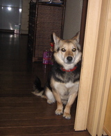 851f348f.jpg