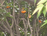 ccc072f4.jpg
