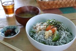 しらす丼
