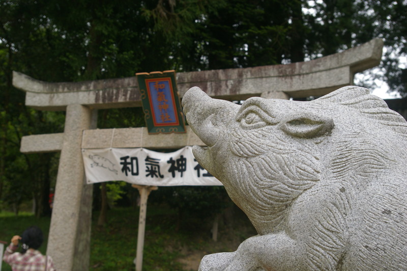 IMGP3877
