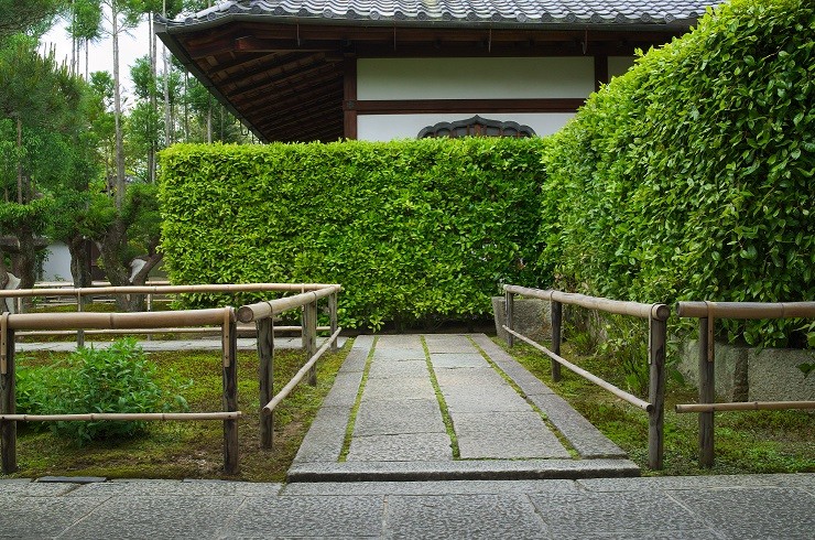 IMGP3693