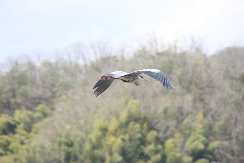 IMG_5805