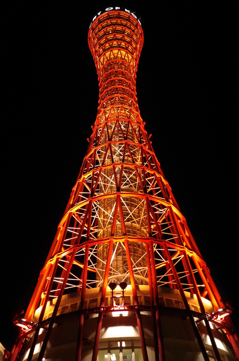 闇夜に光る