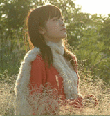 875908fb.gif