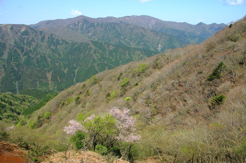 aIMG_3109
