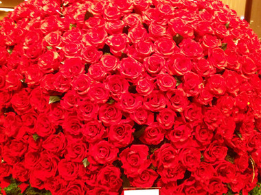 Rose22