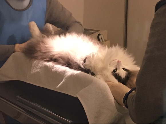 C824F41A-5A1E-4DD3-9640-835244823DF8