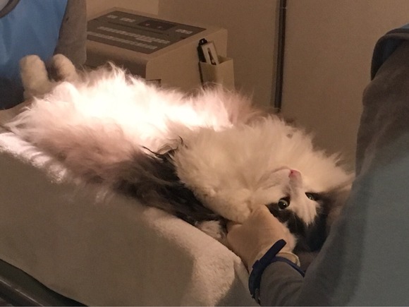 58DBD12C-7D21-4F93-A891-89A4D4B9B35E