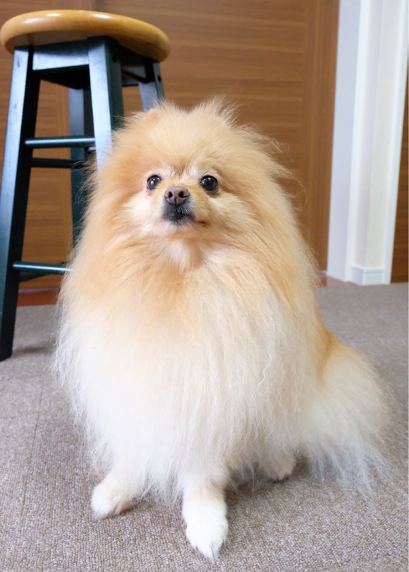 98FC1142-148B-4FFF-97CD-C402338C2379